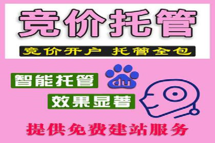 某公司SEM广告投放的全程回顾与效果评估